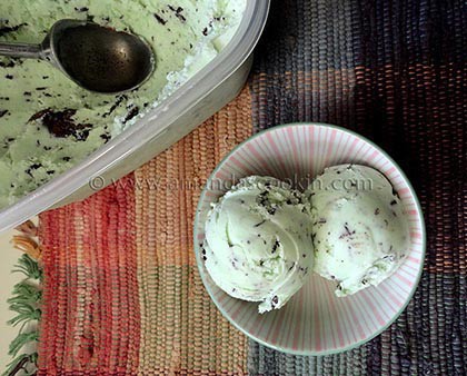 Homemade Mint Chocolate Chip Ice Cream