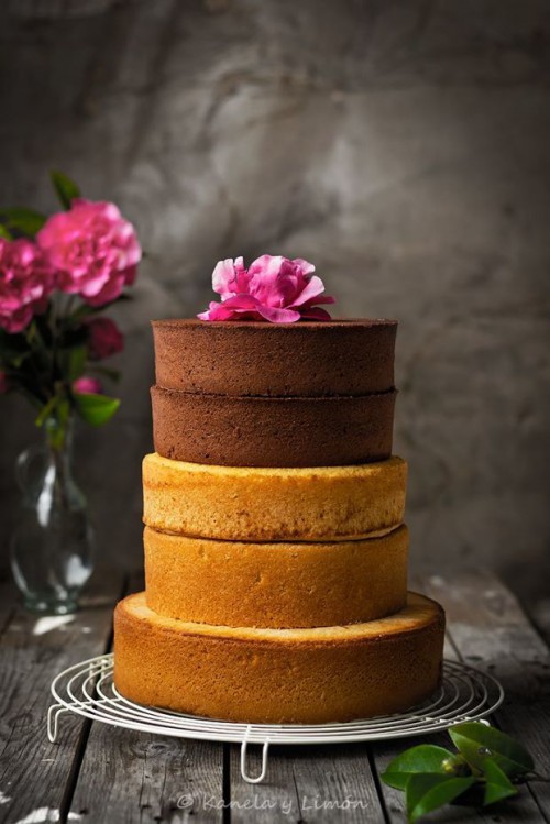 Profi piskóta