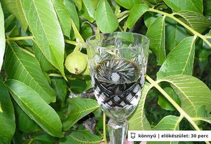 Fahéjas zölddiólikőr