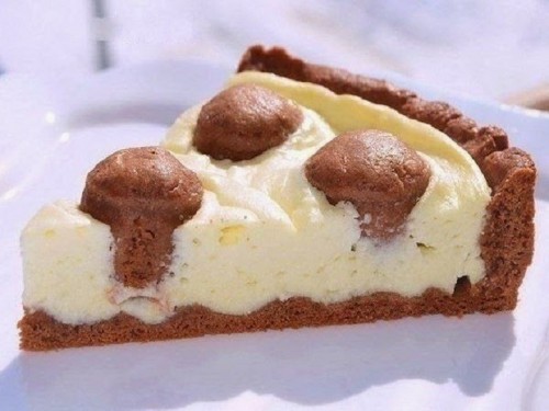 Dalmata szelet
