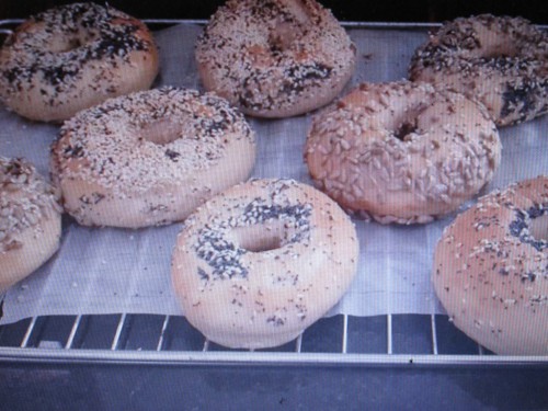 298. Bagel