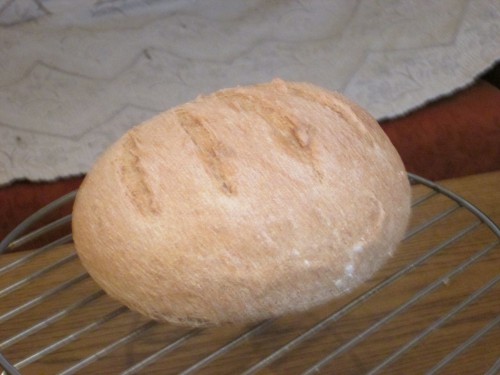 231. Teljes kiőrlésű /tk /kenyér
