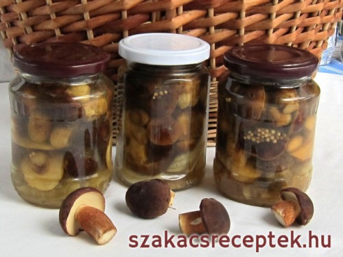 Gomba befőzése