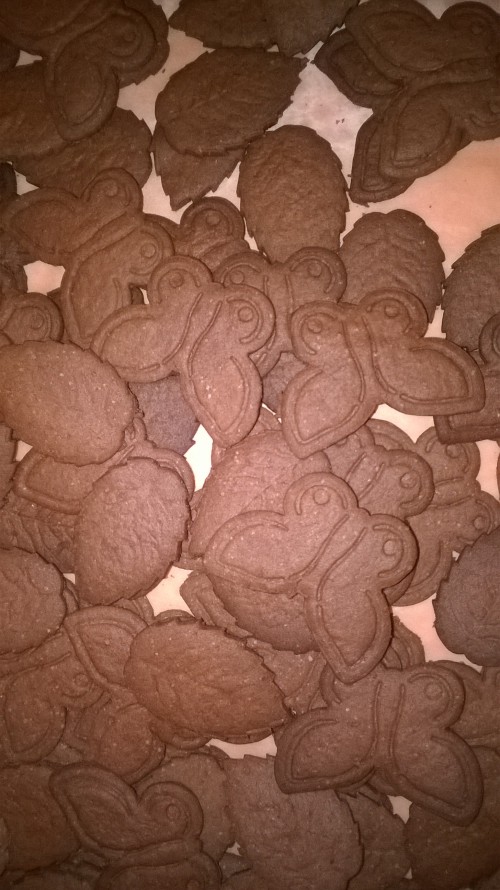 Kakaós keksz