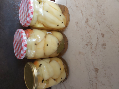 Ecetes almapaprika