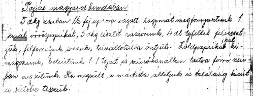 Tojás magyaros bundában
