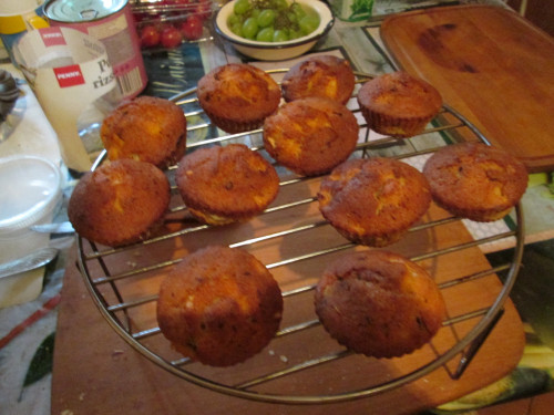 267.Muffin körtés