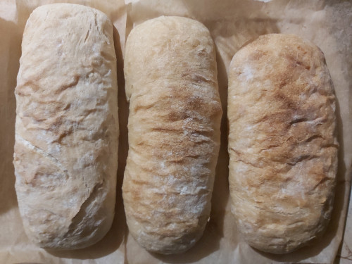 Kovászos szendvicskenyér (Ciabatta)